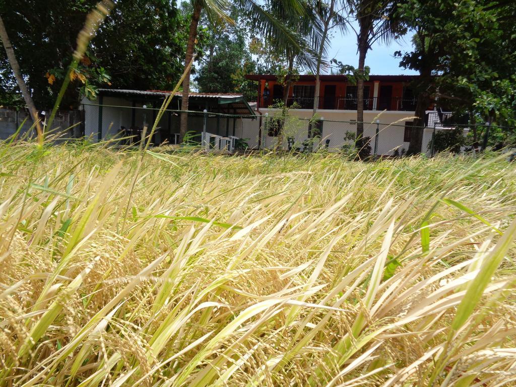 Hotel Man Guest Polonnaruwa Exterior foto